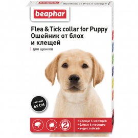 Beaphar Flea & Tick Collar for Puppy нашийник від бліх та кліщів для цуценят з 6 місяців