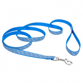Coastal (Костал) Lazer Brite Reflective Leash світловідбиваючий повідець для собак, БЛАКИТНА ХВИЛЯ