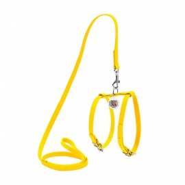 Collar Glamour Шлея с поводком c QR паспортом для кошек и собак малых пород Collar Glamour Шлея с поводком c QR паспортом для кошек и собак малых пород