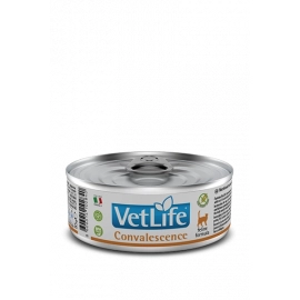 Farmina (Фармина) Vet Life Convalescence влажный корм для кошек в период выздоровления