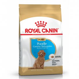 Royal Canin POODLE PUPPY корм для цуценят пуделя до 10 місяців