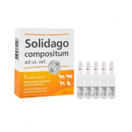 Heel Solidago Сompositum (Солідаго Композитум) гомеопатичний препарат для комплексного лікування гострих і хронічних захворювань