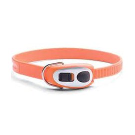 PetSafe Cinch-It ЦИНЧ-ІТ термопластиковий нашийник з мікрозамком для собак, помаранчевий