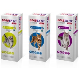 BRAVECTO (Бравекто) ПЛЮС Spot-On капли от блох, клещей и гельминтов для кошек BRAVECTO (Бравекто) ПЛЮС Spot-On капли от блох, клещей и гельминтов для кошек