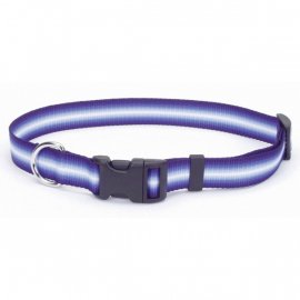 Coastal Trendz Graduated нейлоновый ошейник для собак, пурпурный