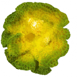 Blue Treasure HZY 244 Декорация для аквариума ИСКУССТВЕННЫЙ КОРАЛЛ