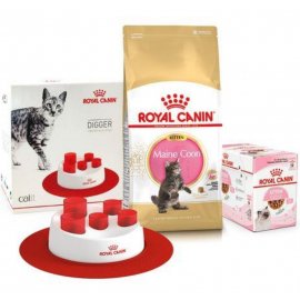 Royal Canin KITTEN MAINE COON (МЕЙН КУН КИТТЕН) корм для котят