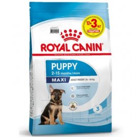 Royal Canin MAXI PUPPY корм для цуценят великих порід від 2 до 15 місяців Royal Canin MAXI PUPPY корм для цуценят великих порід від 2 до 15 місяців