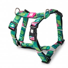 Max & Molly Urban Pets H-Harness шлея для собак Tropical