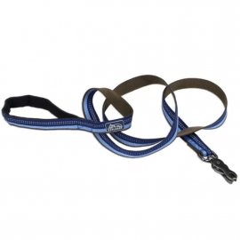 Coastal K9 Explorer поводок для собак светоотражающий, нейлон, САПФИРОВЫЙ