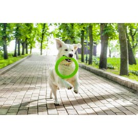 Collar (Коллар) PITCH DOG (ПИТЧ ДОГ КОЛЬЦО) игрушка для собак 20 см