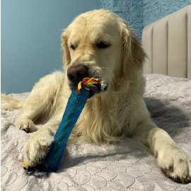 Фото - Petstages ORKA STICK игрушка для собак ПАЛОЧКА С КАНАТИКОМ