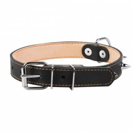 Collar (Коллар) ДВОЙНОЙ С ШИПАМИ ошейник для собак, кожа, черный