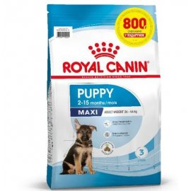 Royal Canin MAXI PUPPY корм для щенков крупных пород от 2 до 15 месяцев