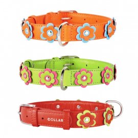 CoLLaR Glamour - кожанный ошейник для собак с украшением аппликация