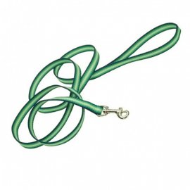 Coastal Trendz Graduated поводок нейлоновый для собак, зеленый