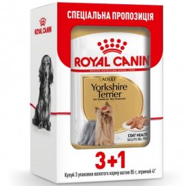 Royal Canin YORKSHIRE TERRIER ADULT (ЙОРКШИР ТЕРЬЕР ЭДАЛТ) влажный корм для собак старше 10 месяцев Royal Canin YORKSHIRE TERRIER ADULT (ЙОРКШИР ТЕРЬЕР ЭДАЛТ) влажный корм для собак старше 10 месяцев