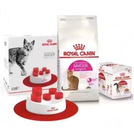 Royal Canin EXIGENT SAVOUR (ЕКСИДЖЕНТ САВО ДЛЯ ВИБАГЛИВИХ) сухий корм для дорослих кішок Royal Canin EXIGENT SAVOUR (ЕКСИДЖЕНТ САВО ДЛЯ ВИБАГЛИВИХ) сухий корм для дорослих кішок