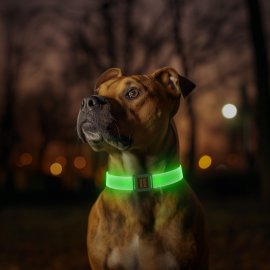 Collar WAUDOG Led нашийник для собак з підсвічуванням та магнітною застібкою Collar WAUDOG Led нашийник для собак з підсвічуванням та магнітною застібкою