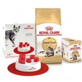 Royal Canin MAINE COON (МЕЙН-КУН) корм для кішок від 1 року Royal Canin MAINE COON (МЕЙН-КУН) корм для кішок від 1 року