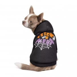 Pet Fashion (Пет Фешин) WEB толстовка для собаки