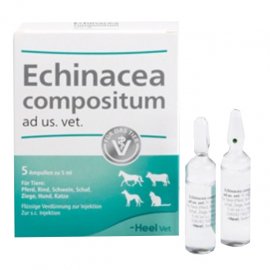 Heel Echonacea Compozitum S (Ехінацея Композитум) гомеопатичний препарат для стимуляції захисних сил організму тварин