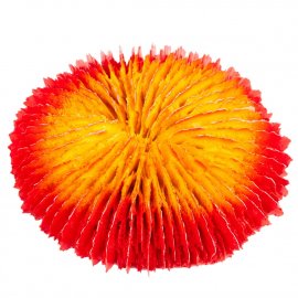 Blue Treasure HZY 247 Декорация для аквариума ИСКУССТВЕННЫЙ КОРАЛЛ