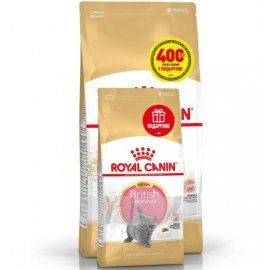 Royal Canin Kitten BRITISH SHORTHAIR (БРИТАНСЬКА КОРОТКОШЕРСНА КІТТЕН) корм для кошенят до 12 місяців Royal Canin Kitten BRITISH SHORTHAIR (БРИТАНСЬКА КОРОТКОШЕРСНА КІТТЕН) корм для кошенят до 12 місяців