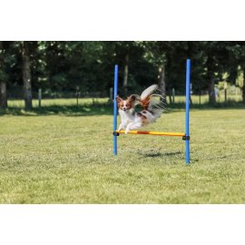 Trixie Hurdle - барьер для тренировки собак (3207)