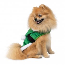 Pet Fashion Santa різдвяна попона для собак, зелений
