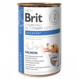 Brit Veterinary Diet Dog Grain Free Recovery Salmon вологий корм для котів та собак у період одужання ЛОСОСЬ