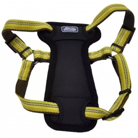 Coastal (Костал) K9 Explorer світловідбиваюча шлейка для собак, ЗОЛОТАРНИК