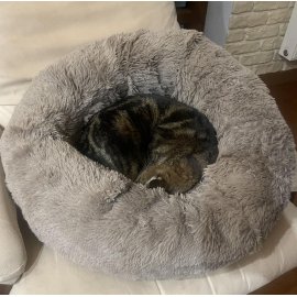 Red Point DONUT лежак со съемной подушкой для собак и кошек ПОНЧИК, капуччино