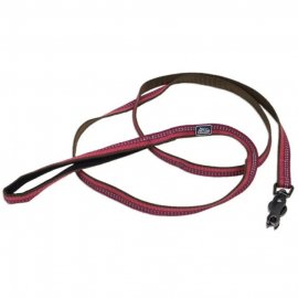 Coastal K9 Explorer повідець для собак світловідбивний, нейлон, МАЛИНОВИЙ