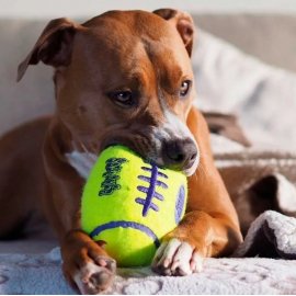 Kong AIR DOG SQUEAKER FOOTBALL іграшка для собак ФУТБОЛЬНИЙ М'ЯЧ