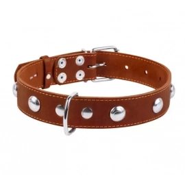 Collar (Коллар) - Кожаный ошейник для собак одинарный с металлическими украшениями, коричневый