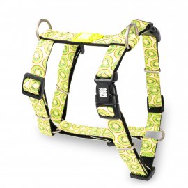 Max & Molly Urban Pets H-Harness шлея для собак Kiwi