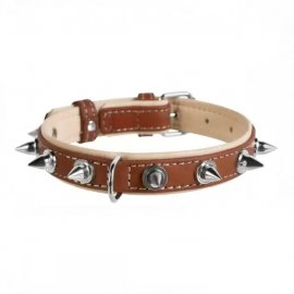 Collar SOFT - кожаный ошейник с шипами для собак, коричневый