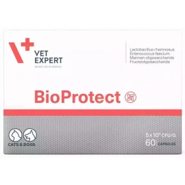 VetExpert (ВетЕксперт) BioProtect (БіоПротект) при порушеннях роботи ШКТ у кішок та собак (пробіотики, пребіотики, МОС) VetExpert (ВетЕксперт) BioProtect (БіоПротект) при порушеннях роботи ШКТ у кішок та собак (пробіотики, пребіотики, МОС)