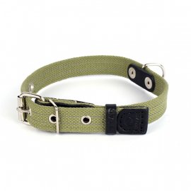 Collar Ошейник брезентовый для собак