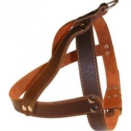 Collar Шлея двойная (для бультерьера и стаффа)