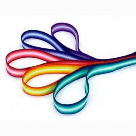 Coastal Trendz Graduated поводок нейлоновый для собак