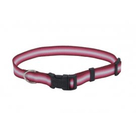 Coastal Trendz Graduated ошейник нейлоновый для собак