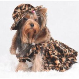 DoggyDolly КЛЕОПАТРА - пальто для собак (РОЗПРОДАЖ - 30%)