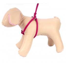 Collar Glamour - Шлея с поводком для кошек и собак мелких пород Collar Glamour - Шлея с поводком для кошек и собак мелких пород