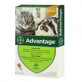 BAYER Advantage краплі від бліх та власоїдів для котів, кошенят та кроликів