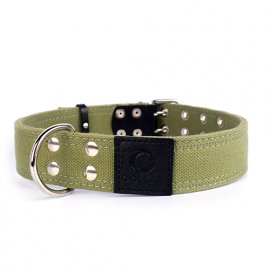 Collar ошейник брезентовый для собак двойной