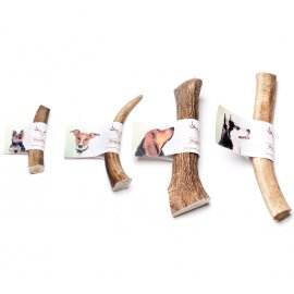 DogsRogs РОГ ОЛЕНЯ погрызушка для собак СРЕДНЕ-ТВЕРДЫЙ