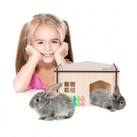 Aquael PET INN WOODEN HOUSE Будиночок - конструктор для гризунів