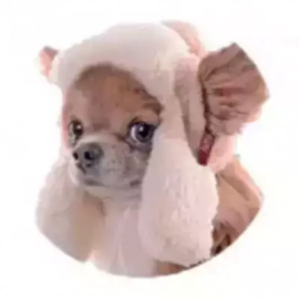 Pet Fashion - Шапка УШАНКА зимняя для мелких и средних собак